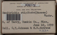 Image Associated With the Occurence